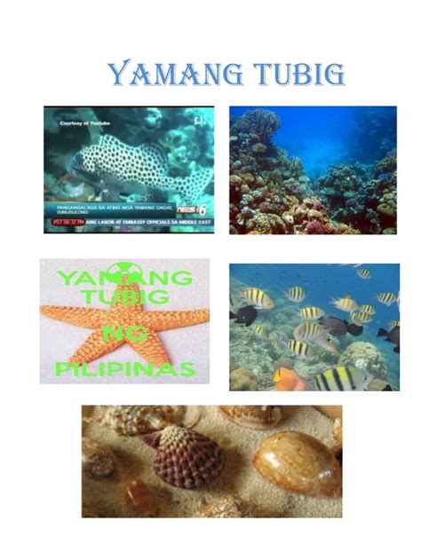 Mga Halimbawa Ng Yamang Tao Sa Asya Anyong Tubig Images And Photos Finder