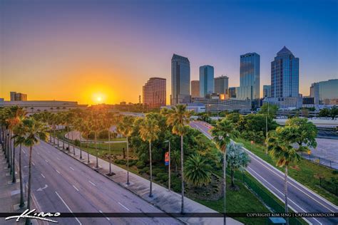 Tampa Skyline Sunset Through Palm Tree Hdr Photography By Captain Kimo