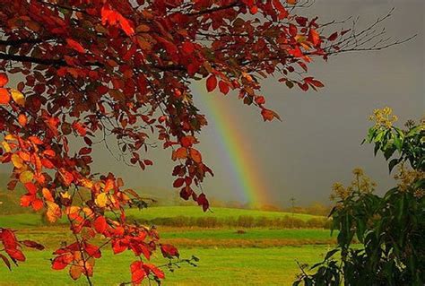 Rainbow In Autumn Fall Autumn Nature Rainbow Hd Wallpaper Peakpx