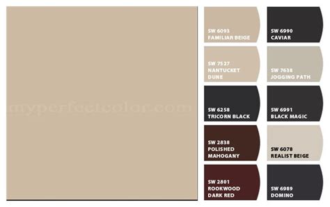 The Different Shades Of Paint For Walls And Floors In Various Colors