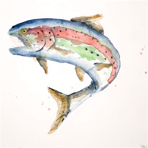 Watercolour Trout Watercolor Fly Fishing Art Fly Fishing Etsy Fly