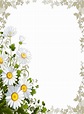 Resultado de imagen para marco borde floral margaritas gratis | Flower ...