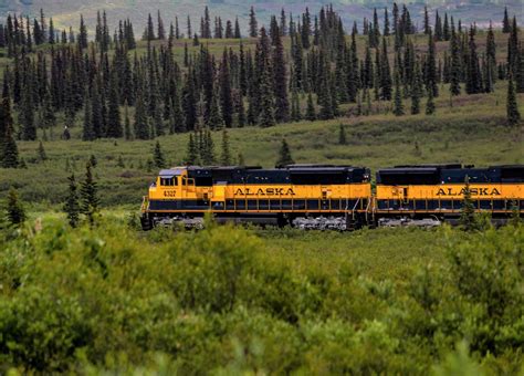 Denali National Park By Rail Travel Alaska