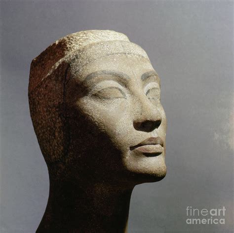 The Unfinished Head Of Queen Nefertiti Wife Of Akhenaton Egypt