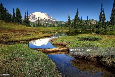 Mount Rainier National Park Lake High Res Stock Photo