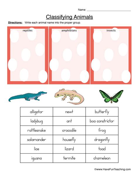 Classifying Animals Worksheet - Reptiles, Amphibians, or Insects