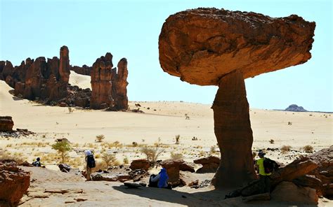 Nature S Umbrella Ennedi Plateau Sahara Desertchad World Heritage