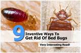 Vacuum Cleaner To Get Rid Of Bed Bugs Images