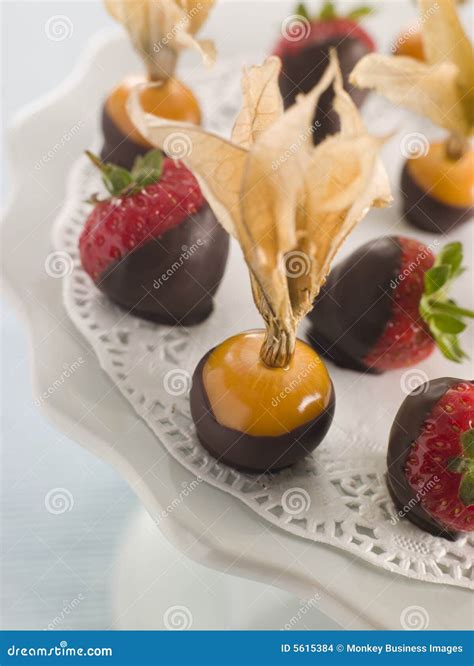 Chocolate Dipped Fruits Stock Photo Image Of Foods Cape 5615384
