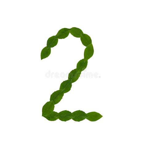 Number 2 Made Green Leaves Stock Photos Free And Royalty Free Stock