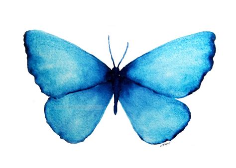 Blue Butterfly Watercolor Butterfly Painting Butterfly Etsy