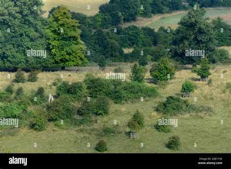 Tring Park High Resolution Stock Photography And Images Alamy
