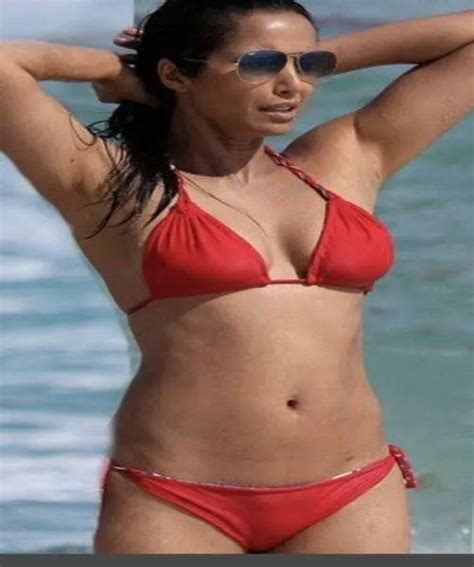 50 Tulsi Gabbard Sexy And Hot Bikini Pictures Hot Celebrities Photos