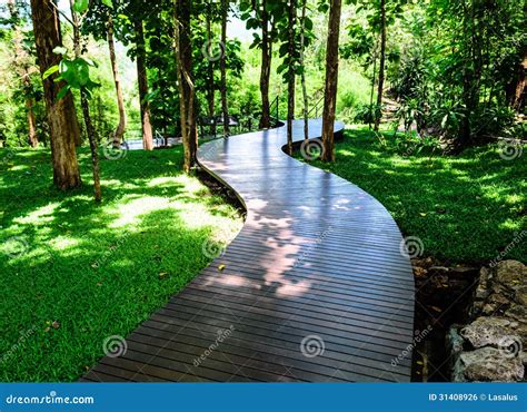 Wooden Walk Curve Way Stock Photo Image Of Outdoor Lake 31408926