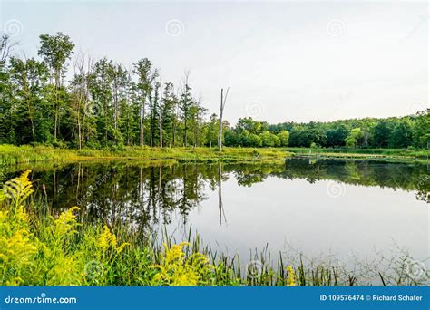 Warm Summers Day In Northeast Ohio Stock Photo Image Of Hiking Warm