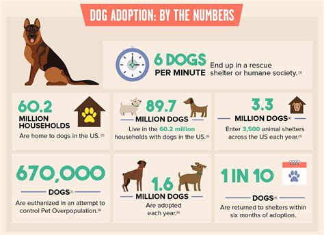 14 Dog Shelters Speak Out What You Should Know Before Adopting A Dog