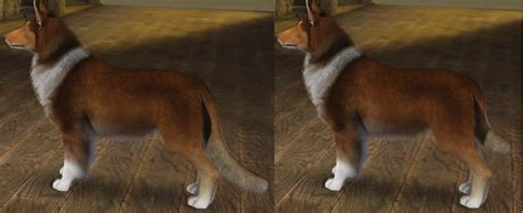 Mod The Sims Tail Length Slider For Cats And Dogs