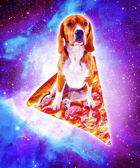 Outer Space Galaxy Dog Riding Pizza Digital Art By Random Galaxy Fine