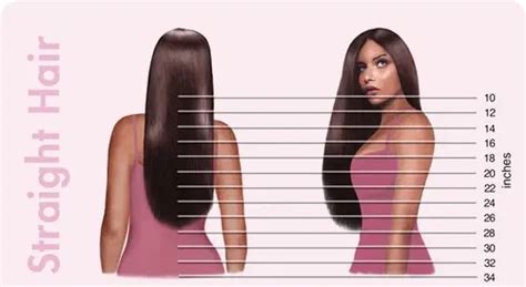 Hair Length Chart Everything You Need To Know
