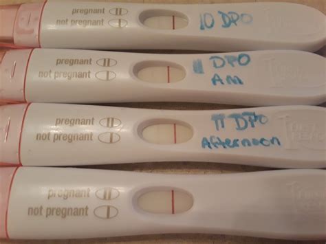 I Took A Pregnancy Test In The Afternoon Pregnancywalls