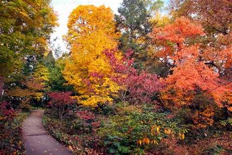 Where To See The Worlds Best Autumnfall Foliage Garden