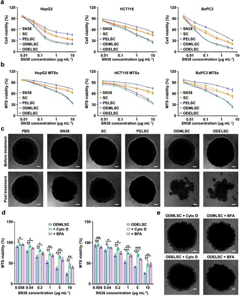 In Vitro Cytotoxicity Of The Sc‐loaded Liposomes Ab The In Vitro