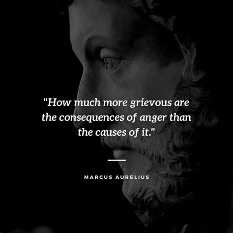 200 Stoic Quotes That Will Change Your Perspective On Life Quotecc