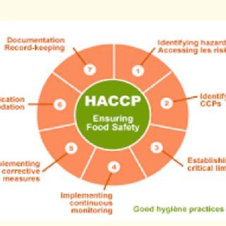 Example For HACCP Plan System For Ready To Eat Fresh Cut Vegetables