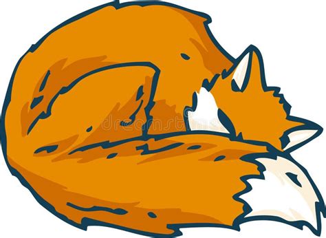 Sleeping Red Fox Stock Illustration Illustration Of Mammal 88942767