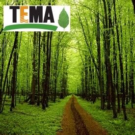 We did not find results for: Tema Vakfı Hakkında Kısa Bilgi | DenkBilgi.com