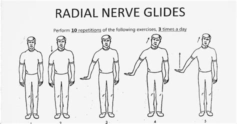 Radial Nerve Glide Exercises Exercisewalls