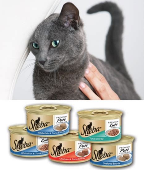 This page contains affiliate links. FREEbie: Sheba Cat Food Sample! | Cat food, Cats, Russian blue