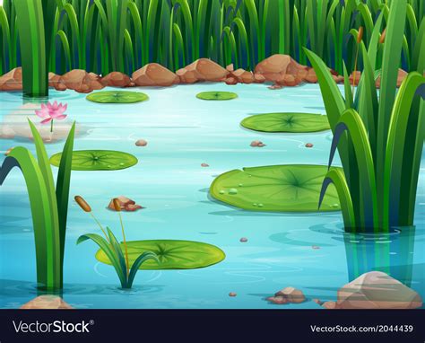 A Pond With Green Plants Royalty Free Vector Image