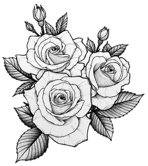 Pin By Eaqui On Zócalos Tattoo Drawings Tumblr Rose Drawing Tattoo