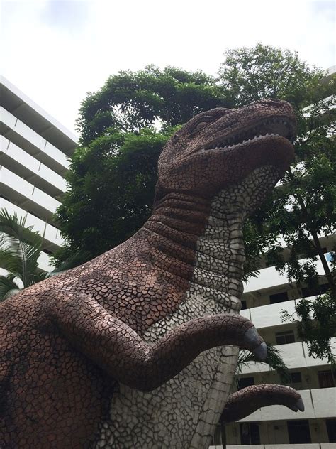 Dinosaur Playground Toa Payoh Singapore Moonlit