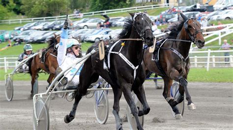 The Horse Racing Track Visitaarhus