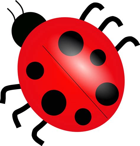 Download Ladybug Png Picture Hq Png Image Freepngimg