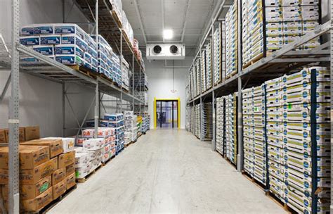 The cold sore virus lives inactive in your mouth area in nerve cells. Best Practices for Managing a Cold Storage Warehouse - Gubba