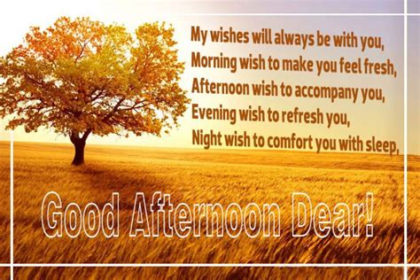 100 Good Afternoon Wishes Messages And Quotes Wishesmsg