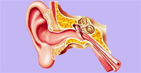 Eustachian Tube Dysfunction And Its Association With Tinnitus
