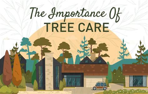 Benefits Of Caring For Trees Infographic Infographic Plaza