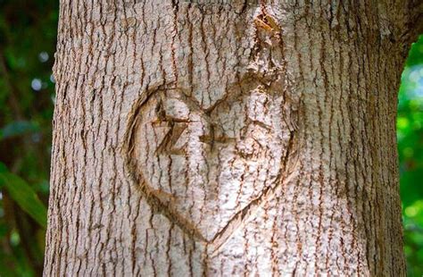 Check out our heart carved in tree selection for the very best in unique or custom, handmade pieces from our shops. Carving initials spells O-U-C-H for a living tree ...