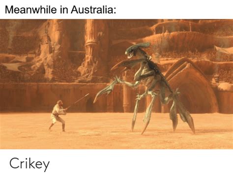 Meanwhile In Australia Crikey Australia Meme On Meme