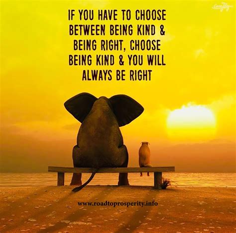 If You Have To Choose Between Being Kind And Being Right
