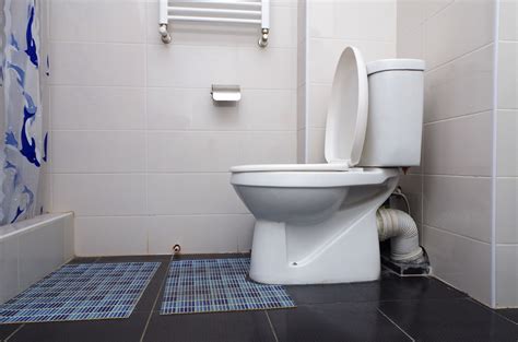 How Many Types Of Toilet Do We Have In Nigeria Best Design Idea
