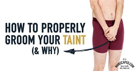 How To Properly Groom Your Taint And Why In Male Grooming Groom