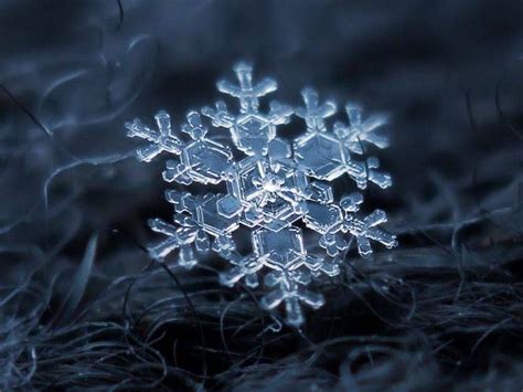 Macro Photos Of Snowflakes Show Impossibly Perfect Designs Snowflake