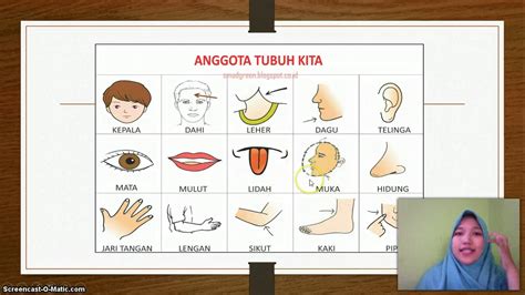 Mengenal Anggota Tubuh Video Prasekolah Youtube