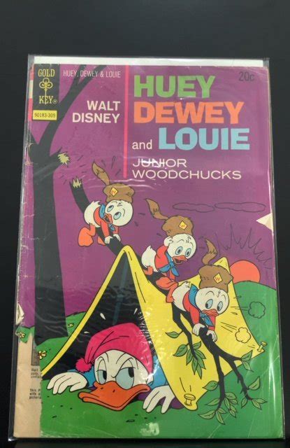 Huey Dewey And Louie Junior Woodchucks 22 1973 Comic Books