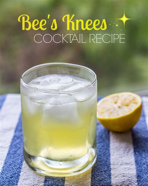 Stir until honey is dissolved. Bee's Knees Cocktail Recipe (video)